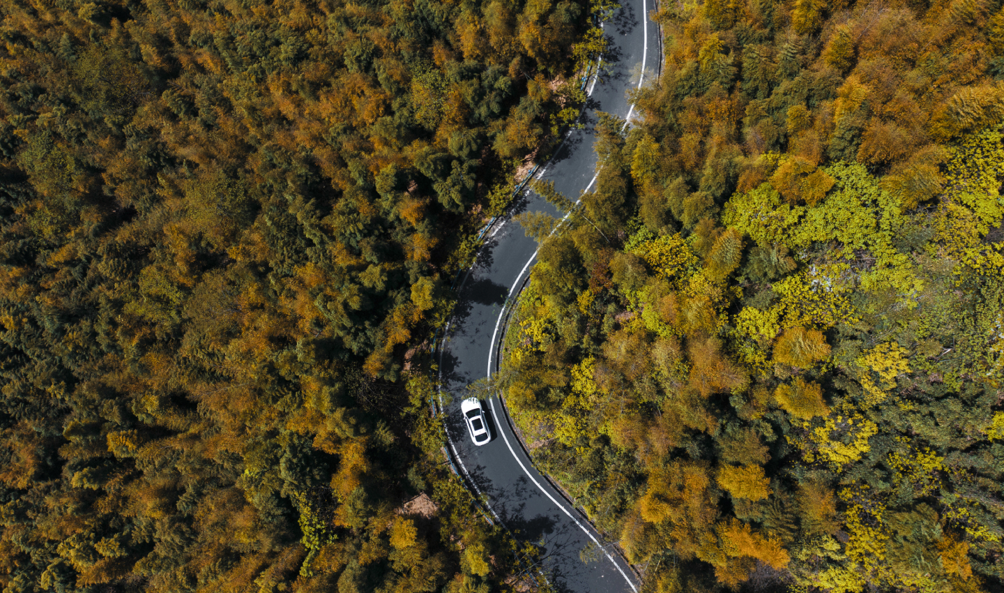 CARBON NEUTRALITY GOALS
